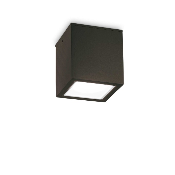 Šviestuvas Ideal Lux – Techo pl1 small Lubinis lauko šviestuvas  - 4