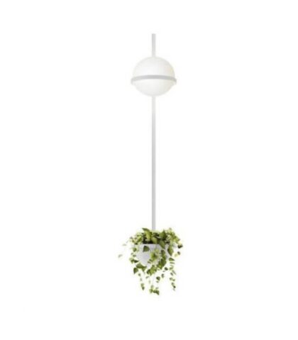 Lamp Vibia - Palma Wall 3714