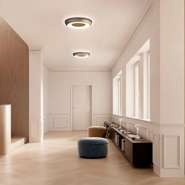 Rounded Presence | Superbold by Panzeri
